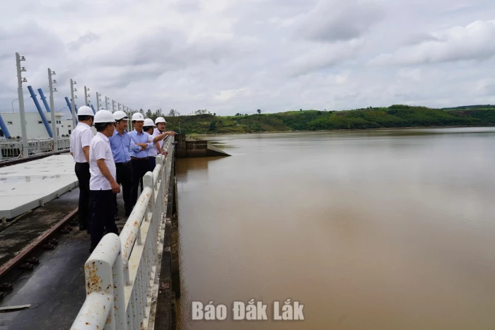 Proactively preventing and responding to natural disasters