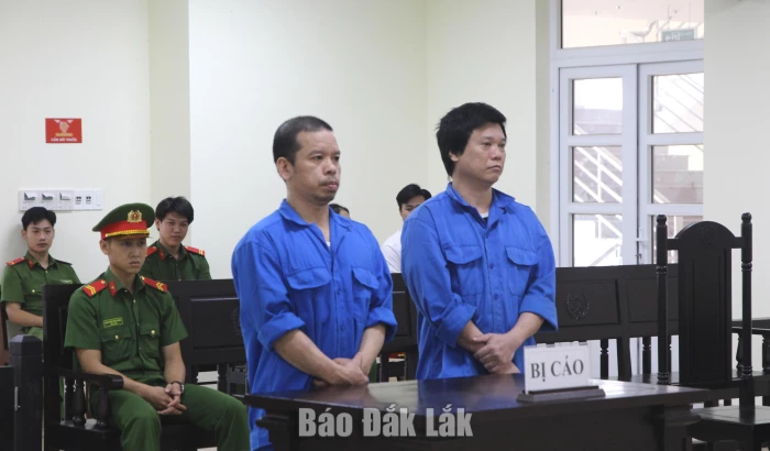 Cái giá khi trượt dài trong ma túy