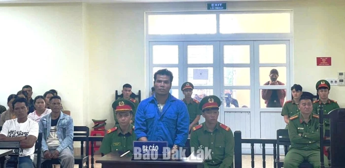 Lĩnh án vì sát hại em rể
