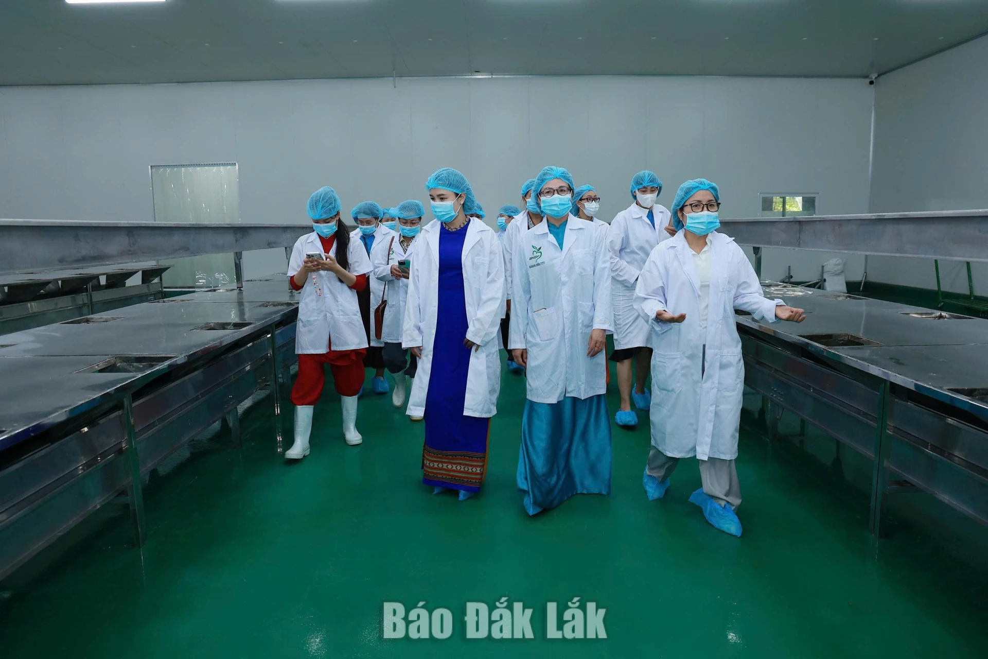 Các đại biểu tìm hiểu hoạt động sản xuất, chế biến nông sản xuất khẩu tại Ban Mê Green Farm.