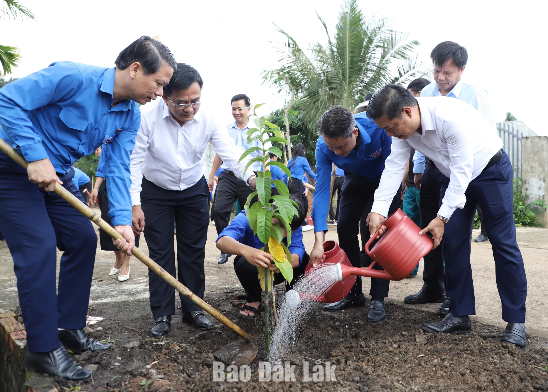 Các đại biểu tham gia trồng cây xanh cảnh quan tại các tuyến đường.