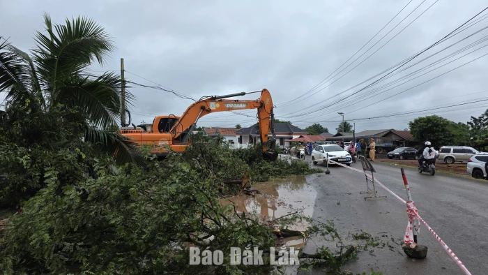Cưỡng chế thu hồi đất bàn giao mặt bằng thi công Tỉnh lộ 1