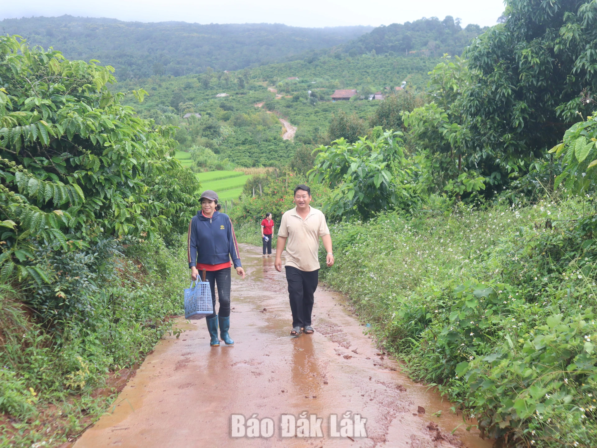Đoạn đường nội thôn Tam Đa được bê tông, tạo điều kiện cho người dân đi lại thuận lợi. 