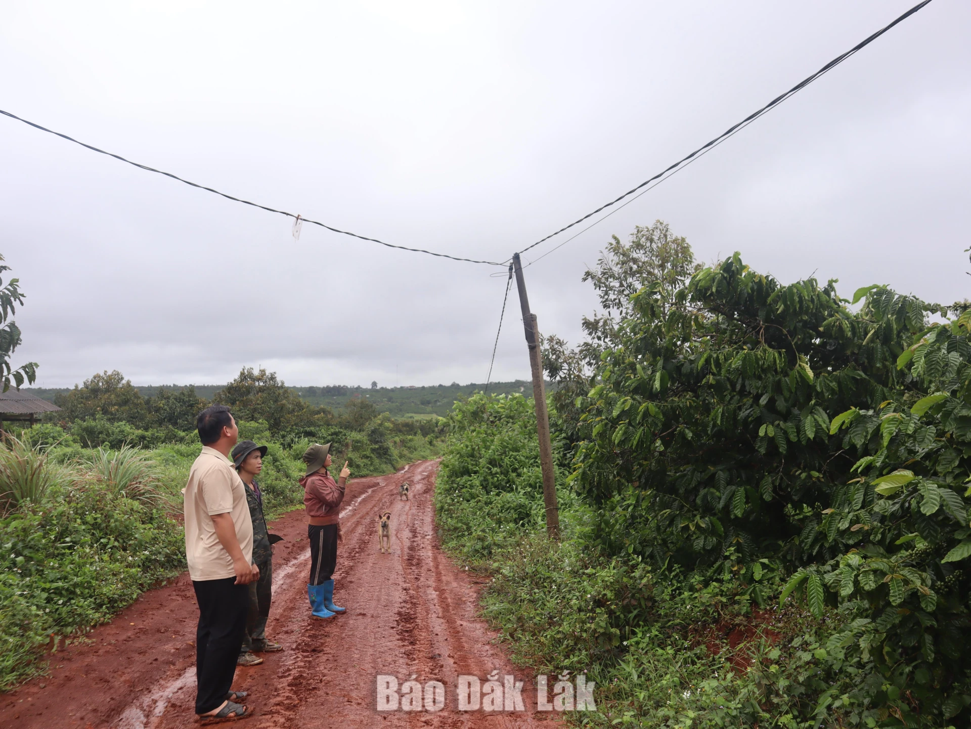Đường điện do người dân thôn Tam Đa đóng góp.