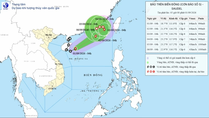 Đắk Lắk triển khai các biện pháp ứng phó áp thấp nhiệt đới mạnh lên thành bão số 5