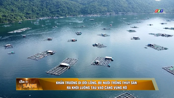 Bản tin sáng ngày 19/9/2026