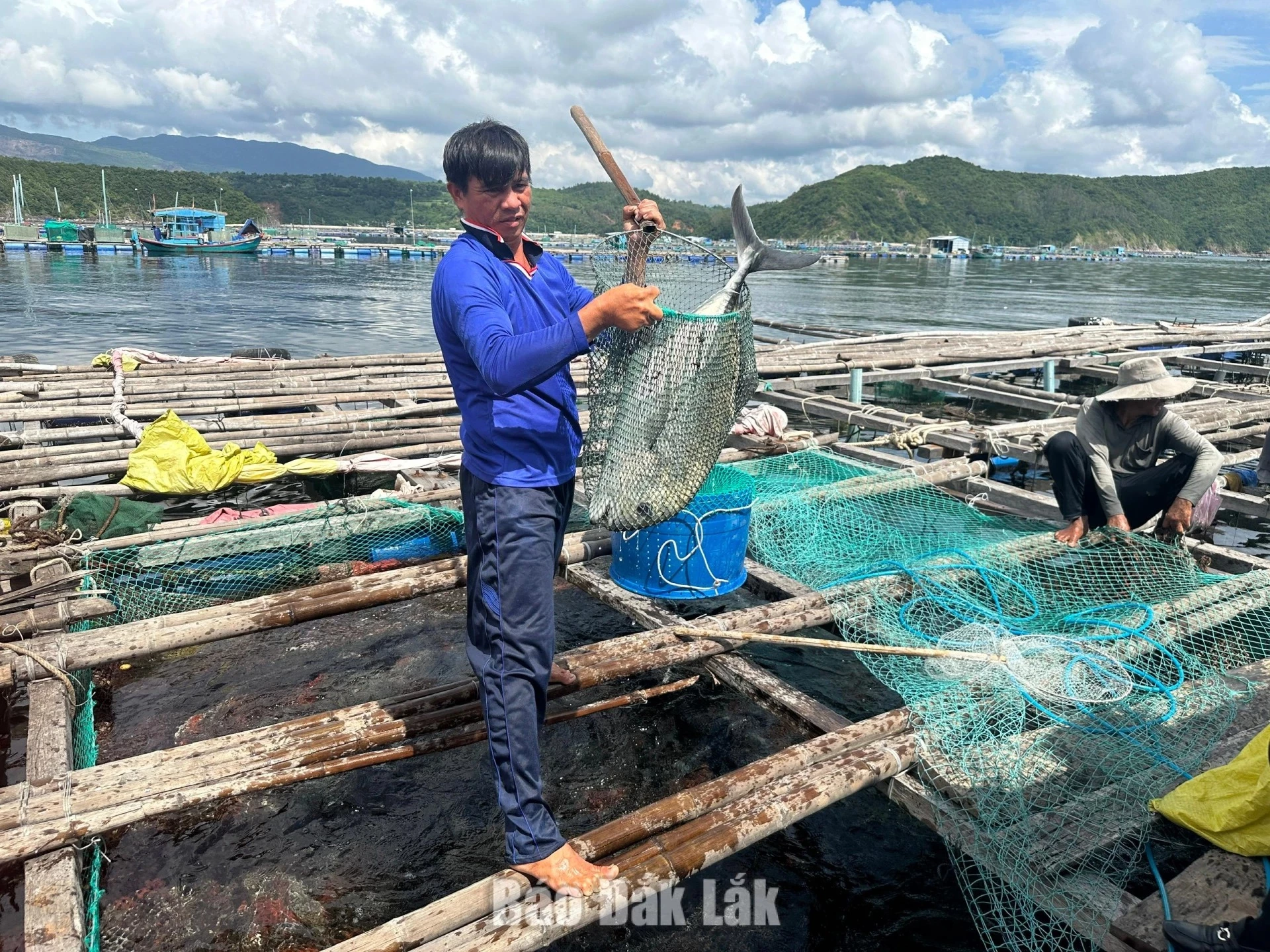 Marine aquaculture is a strength of the provincial eastern area.