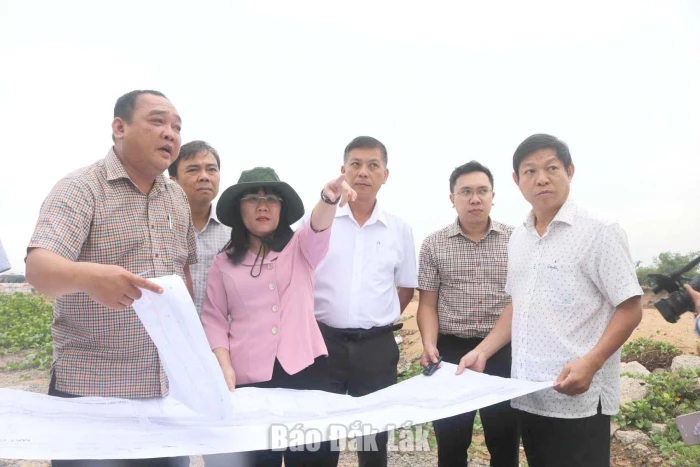 Phó Chủ tịch Thường trực UBND tỉnh Hồ Thị Nguyên Thảo kiểm tra tiến độ 3 dự án