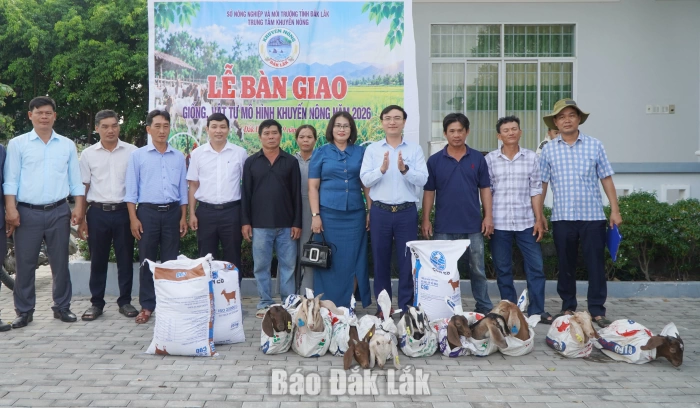 Xã Tuy An Nam: 5 hộ dân được hỗ trợ 70 con dê giống