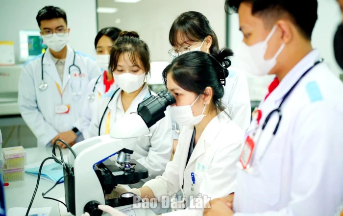  Từ giảng đường đến việc làm