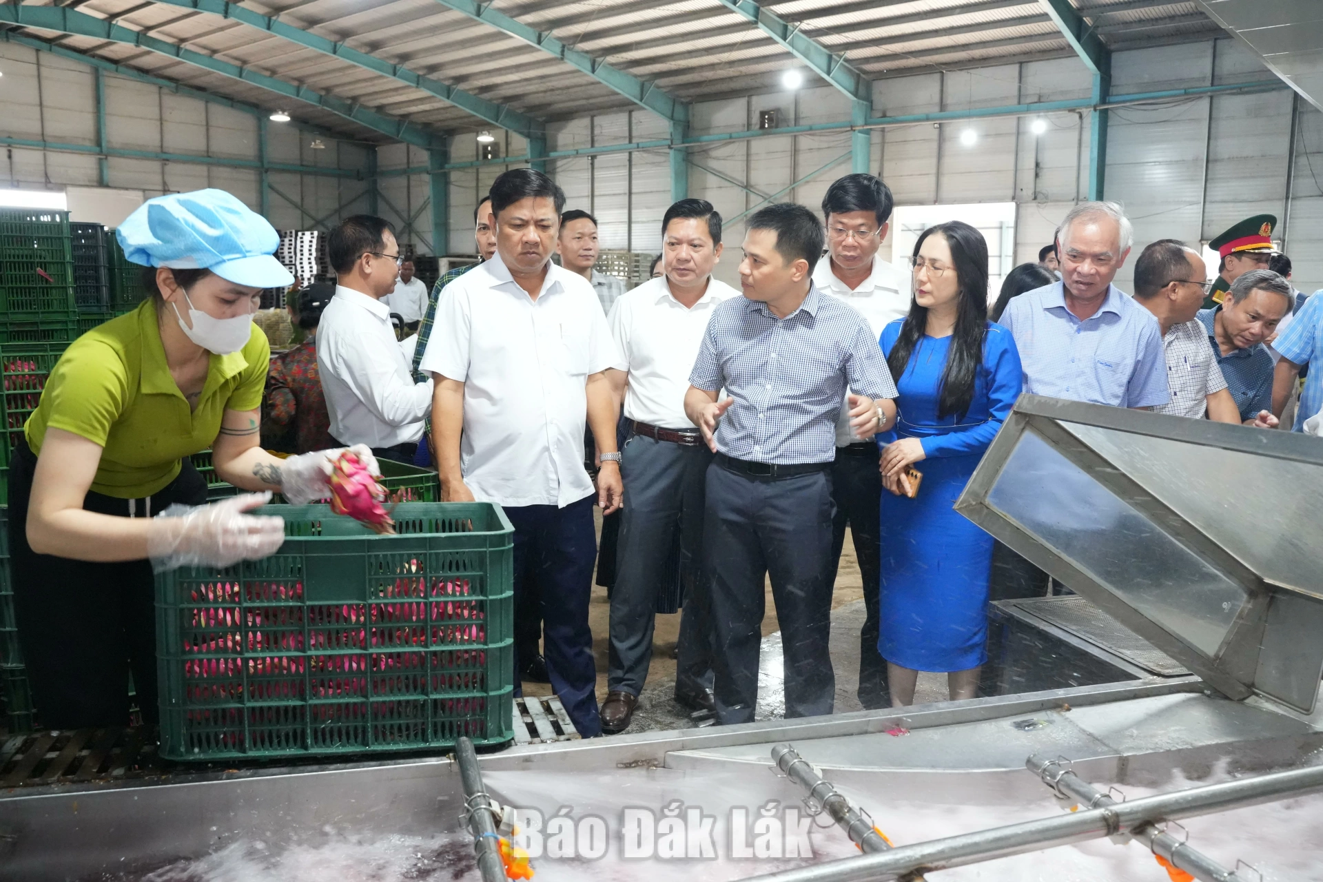 Đồng chí Lương Nguyễn Minh Triết, Ủy viên Trung ương Đảng, Bí thư Tỉnh ủy, Trưởng Đoàn ĐBQH tỉnh kiểm tra tình hình sản xuất, hoạt động của Công ty Darlac Farm.