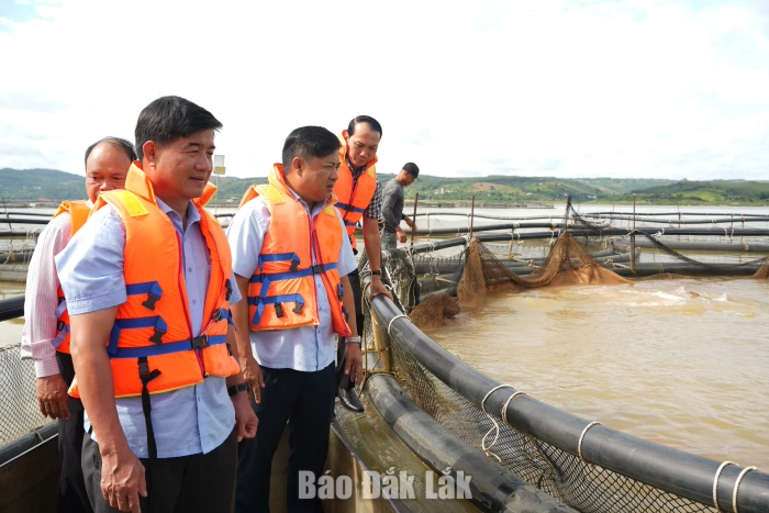 Bí thư Tỉnh ủy Lương Nguyễn Minh Triết kiểm tra thực tế tại xã Nam Ka