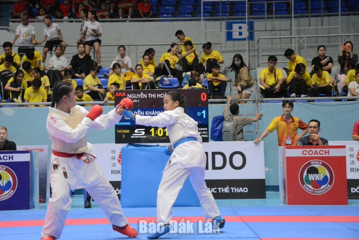Thể thao thành tích cao Đắk Lắk đoạt 395 huy chương các loại