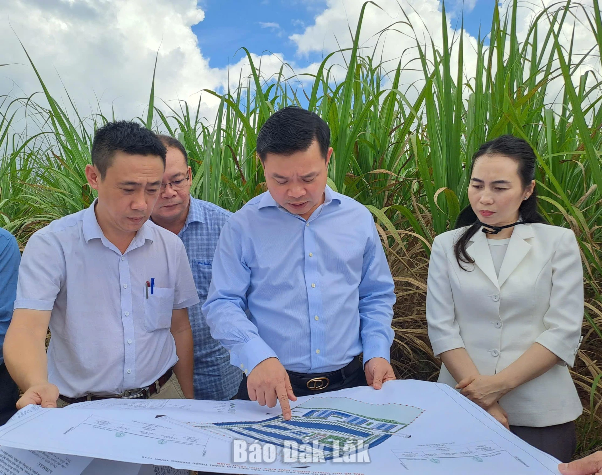 thị sát