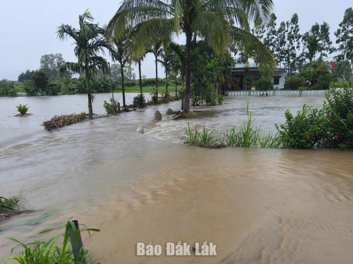 Tập trung triển khai các biện pháp phòng ngừa, ứng phó với mưa lớn kéo dài