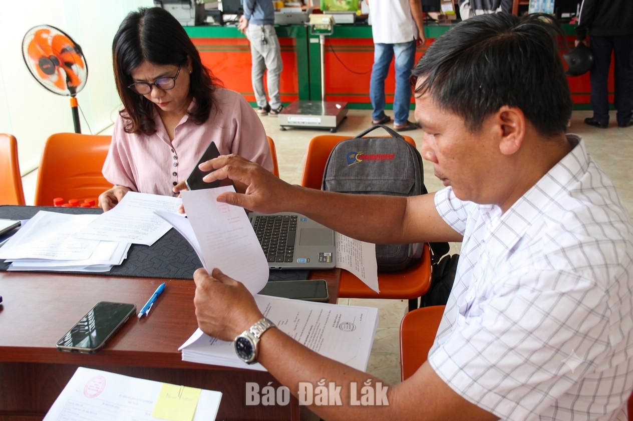 Các thành viên Đoàn kiểm tra chi tiết các hồ sơ, tài liệu liên quan.