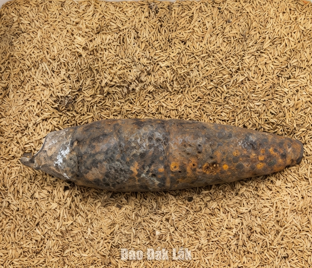 Quả đạn cối