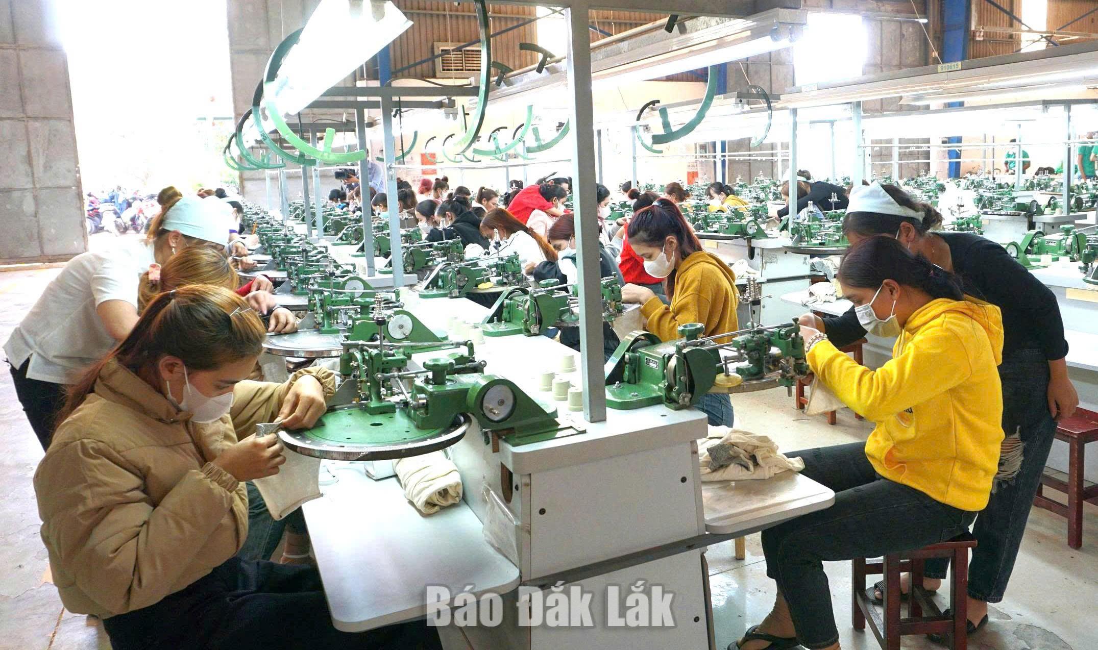 An enterprise operating in Tan An Industrial Cluster.