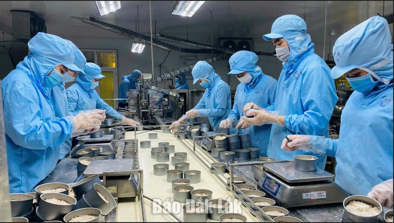 Producing canned tuna at Nguyen Hung Co., Ltd.