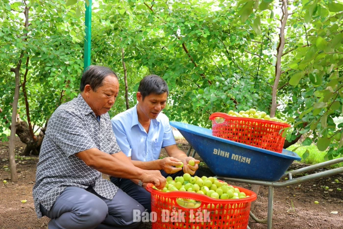 (Video) Biến thông tin thành nguồn lực giảm nghèo