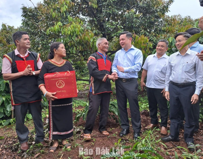 Chủ tịch UBND tỉnh thăm mô hình sinh kế và tặng quà người dân vùng căn cứ cách mạng Cư Pơng