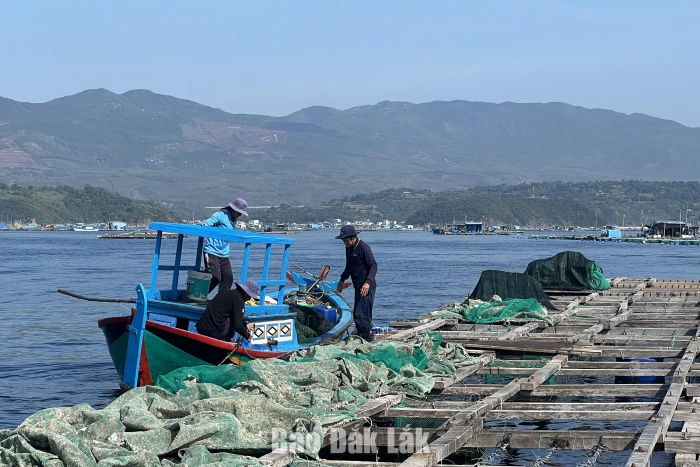 Chủ động ứng phó mưa bão trong mọi tình huống