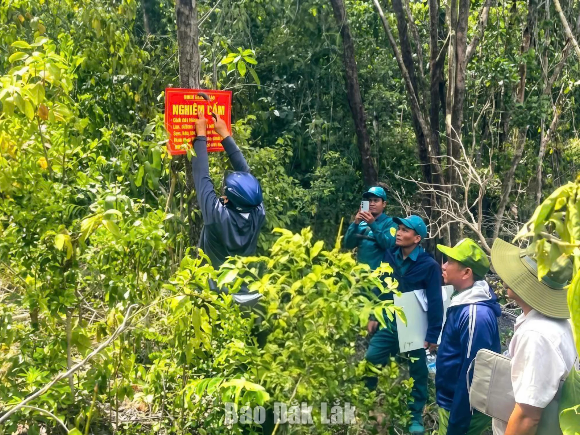 Lực lượng chức năng lắp đặt biển cấm về tuyên truyền pháp luật và ngăn chặn các hành vi xâm hại tài nguyên rừng. Ảnh: M.Thảo