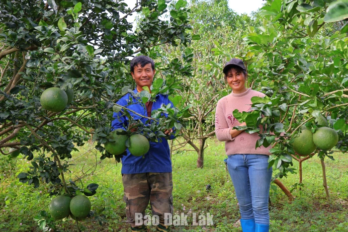 Từ mã QR đến những cơ hội mới ở Ea Wer