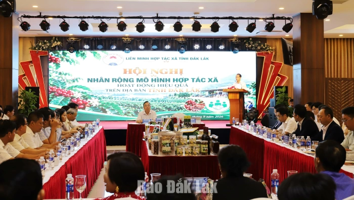Nhân rộng mô hình hợp tác xã hoạt động hiệu quả năm 2026