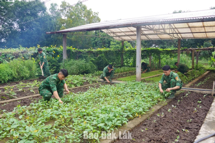 Tự lực tăng gia, vững vàng bám biên, bám biển