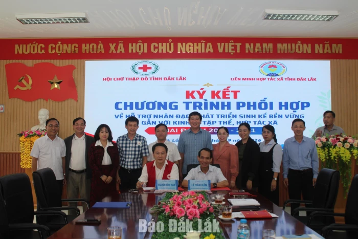 Hỗ trợ nhân đạo, phát triển sinh kế bền vững gắn với kinh tế tập thể