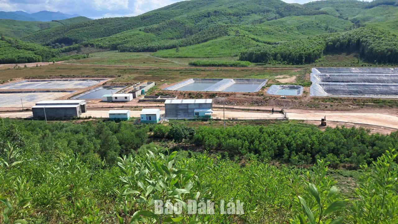 Trang trại chăn nuôi heo quy mô lớn ở xã Sơn Thành.