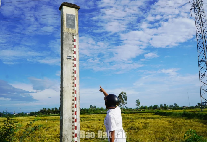 Sẵn sàng ngay từ cơ sở