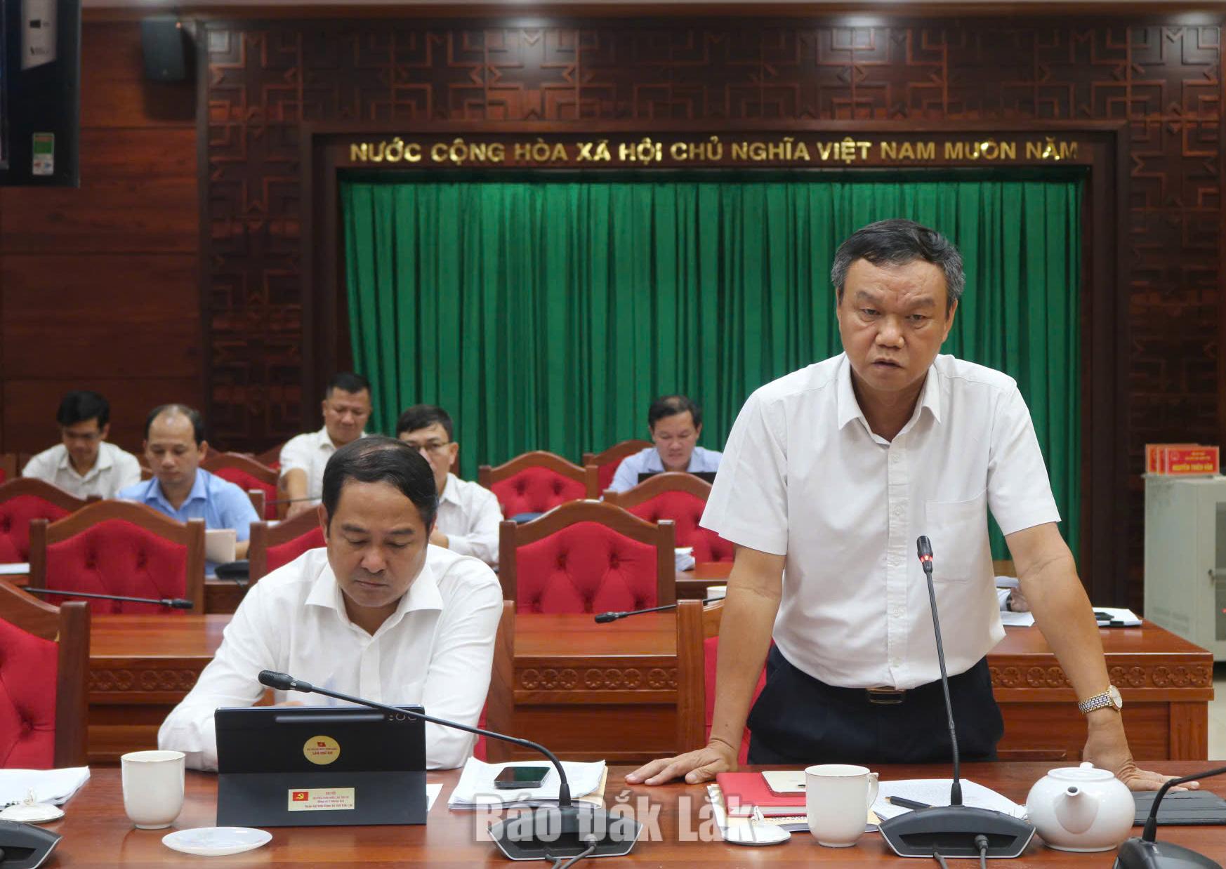 Phó Chủ tịch UBND tỉnh Đào Mỹ phát biểu tại cuộc họp.
