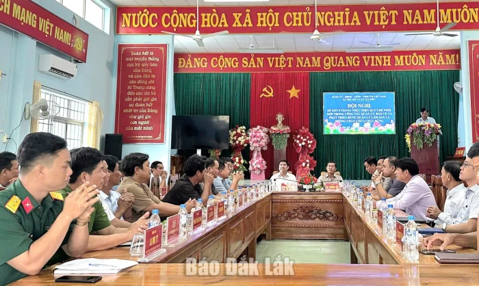 Phú Mỡ - Tây Sơn phối hợp bảo vệ rừng vùng giáp ranh