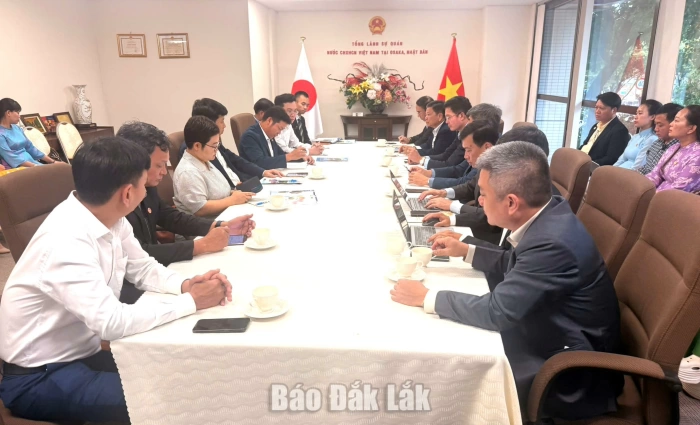 Kết nối doanh nghiệp tỉnh Đắk Lắk và Nhật Bản