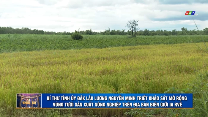 Thời sự 11h30 ngày 20/9/2026