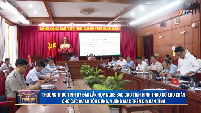 Thời sự 11h30 ngày 22/9/2026