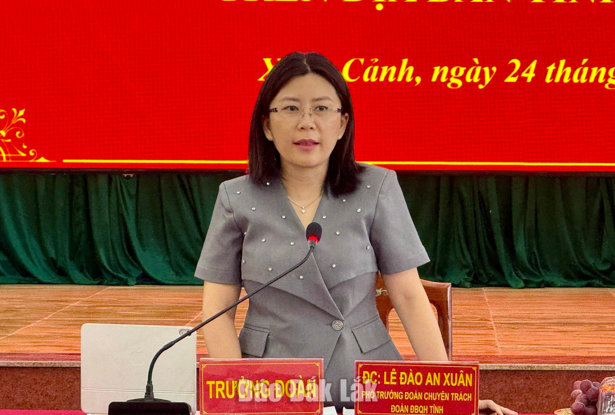 Phó Trưởng Đoàn chuyên trách Đoàn ĐBQH tỉnh Lê Đào An Xuân phát biểu kết luận buổi làm việc.
