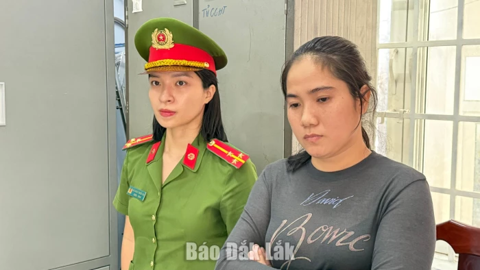 Khởi tố 2 bị can lừa làm hồ sơ vay vốn ngân hàng để chiếm đoạt tiền