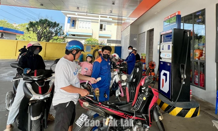 Giá xăng sinh học giảm 730 - 1.230 đồng/lít