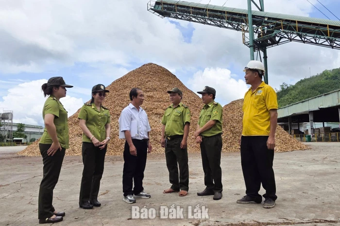 Quản lý chế biến lâm sản, nâng giá trị kinh tế rừng