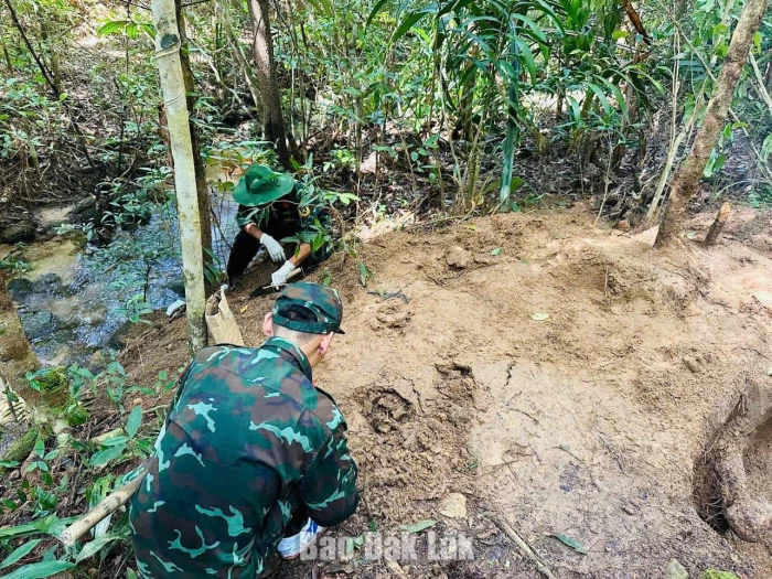 Lực lượng chức năng quy tập