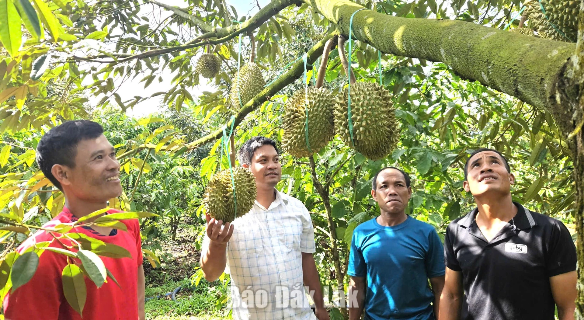 Một mô hình sản xuất nông nghiệp hiệu quả tại xã Dang Kang.
