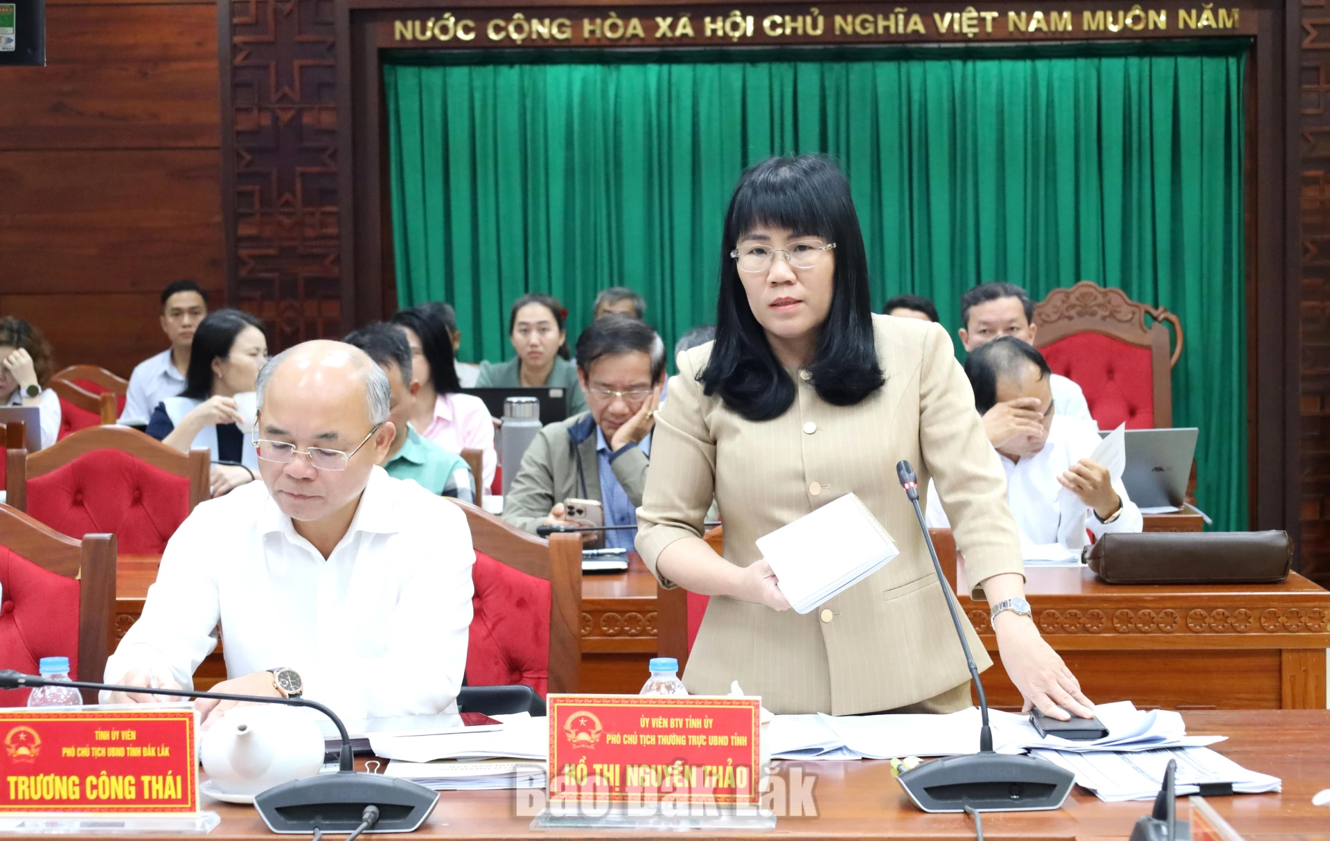 Phó Chủ tịch Thường trực UBND tỉnh Hồ Thị Nguyên Thảo nêu ý kiến tại cuộc họp.