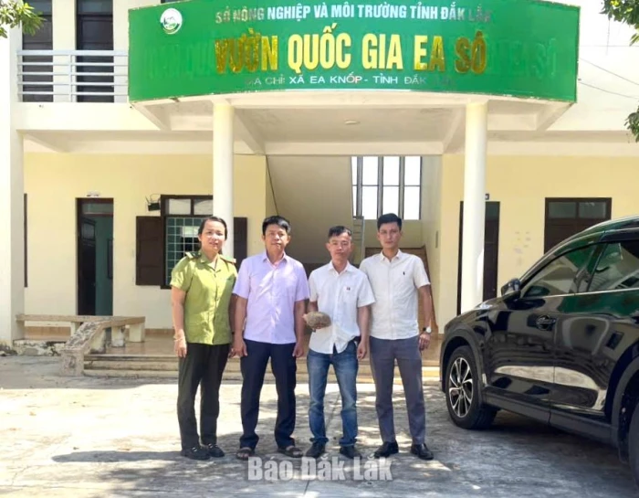 Xã Ea Knốp: Người dân tự nguyện giao nộp rùa núi vàng để thả về tự nhiên