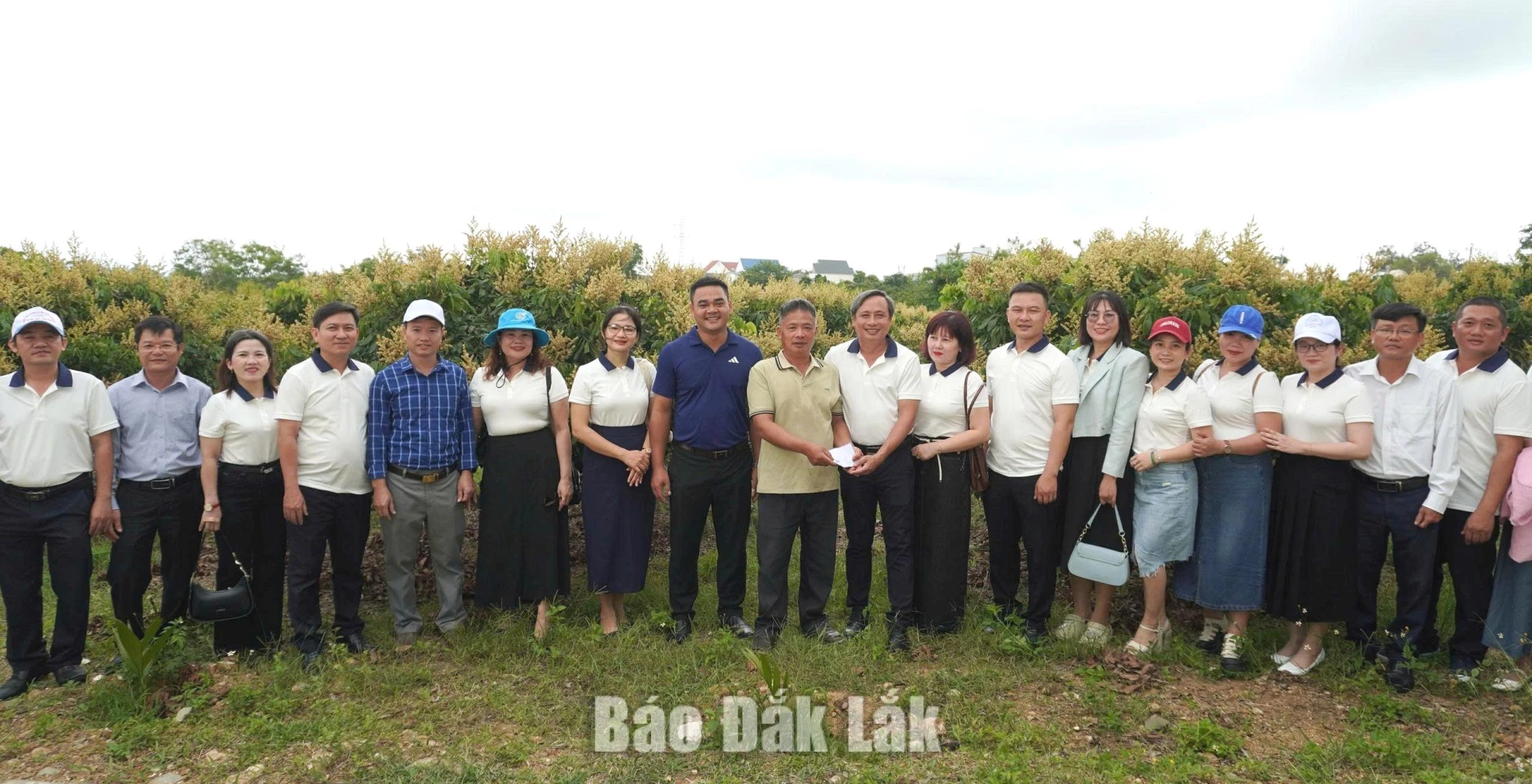 Các thành viên đoàn công tác của Đảng ủy xã Hòa Mỹ và xã Ea Knốp thăm mô hình trồng nhãn hương chi tại buôn Ea Brah.
