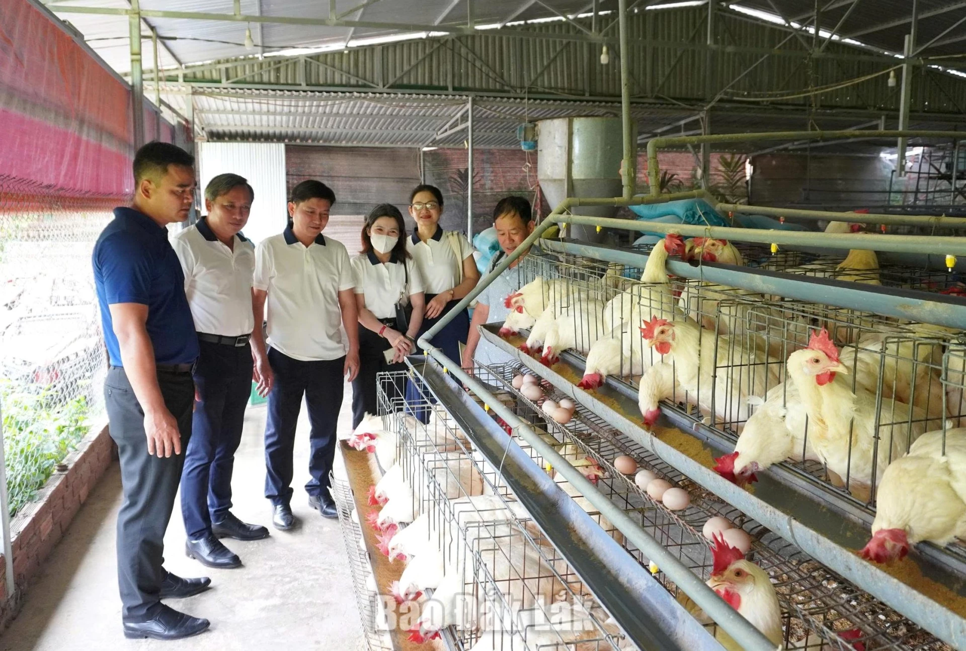 Thường trực Đảng ủy xã Hòa Mỹ và xã Ea Knốp tìm hiểu mô hình nuôi gà đẻ trứng tại thôn Ea Sar 2.