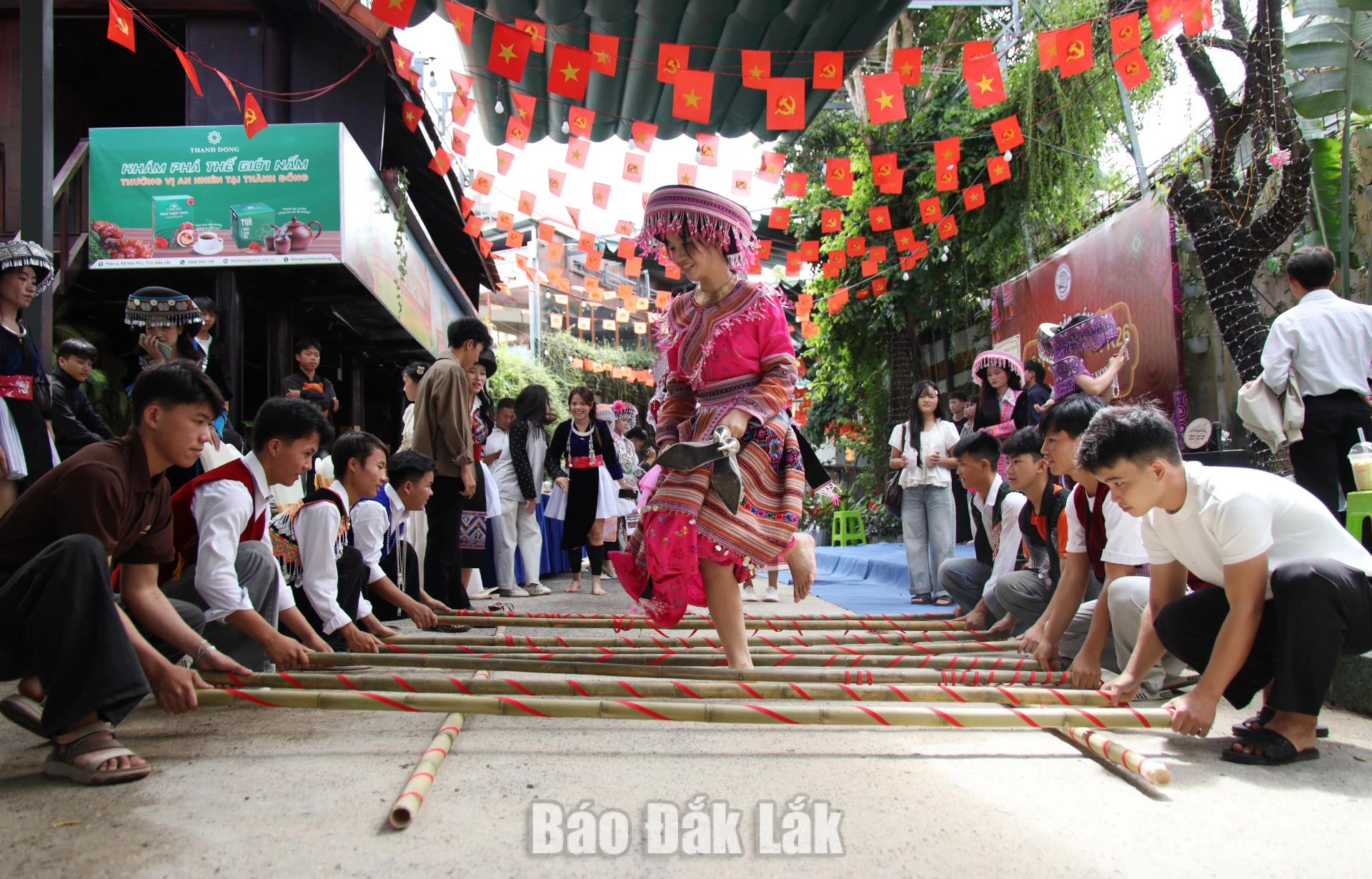 Tân sinh viên t