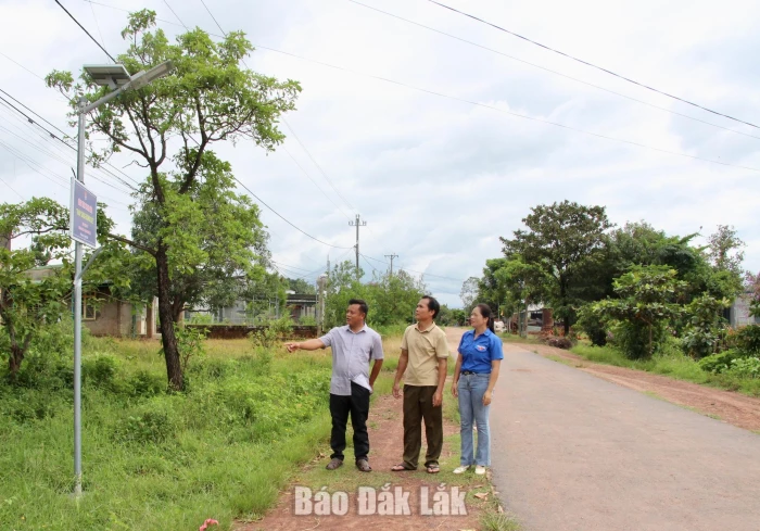 Youth contributing to building new rural areas